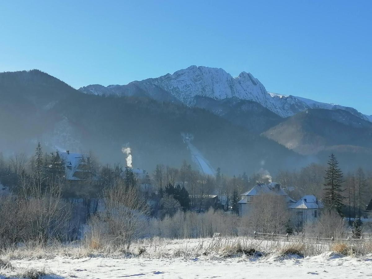 Ferienwohnung Willa U Kosle 2 Zakopane Exterior foto